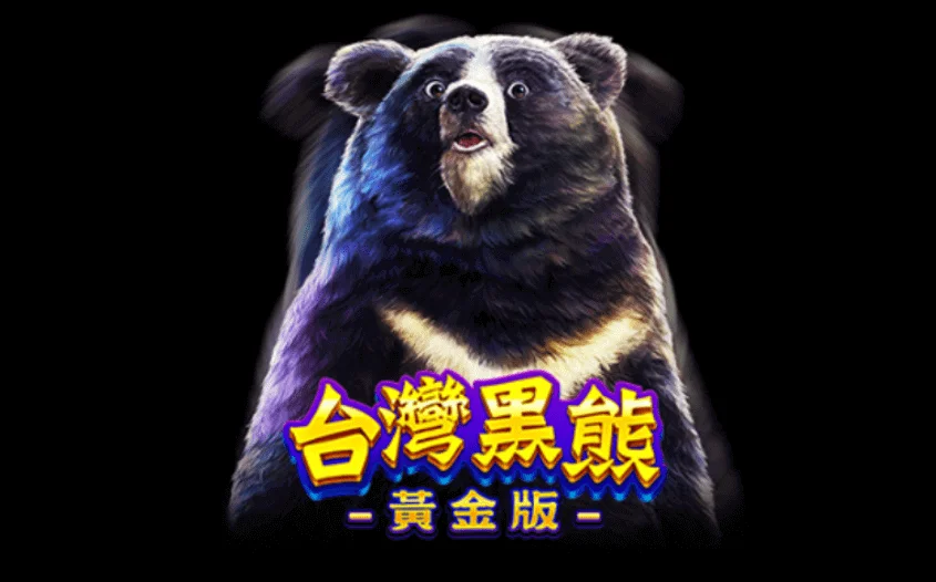 台灣黑熊